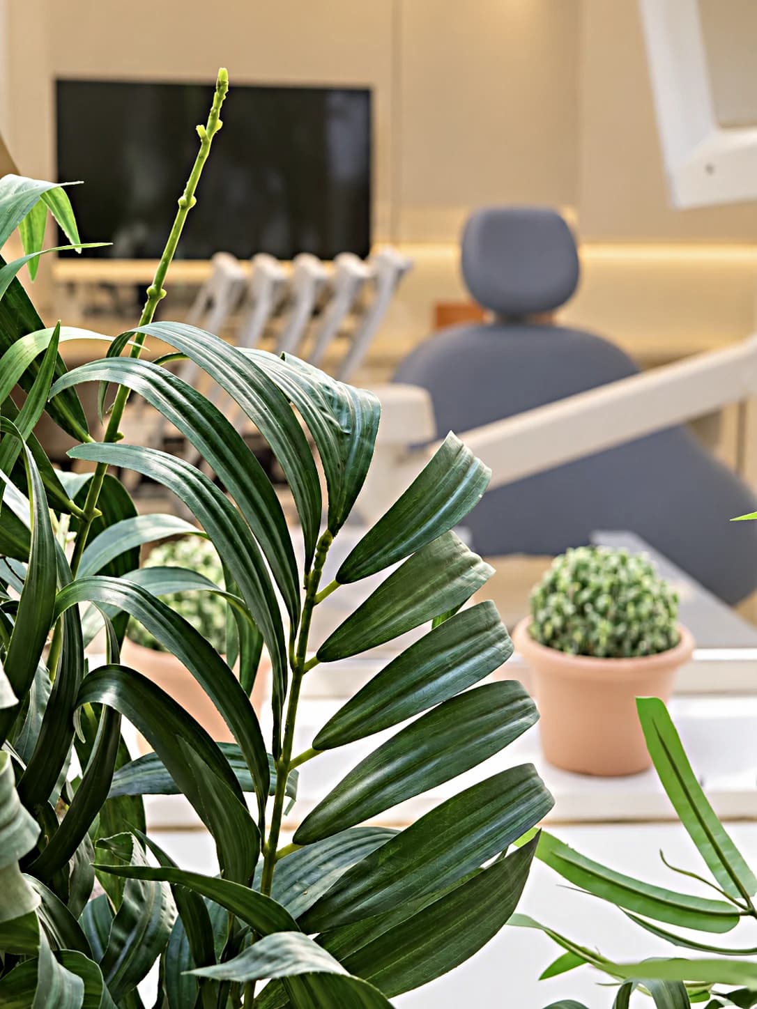 Detall d'un box amb plantes en primer pla