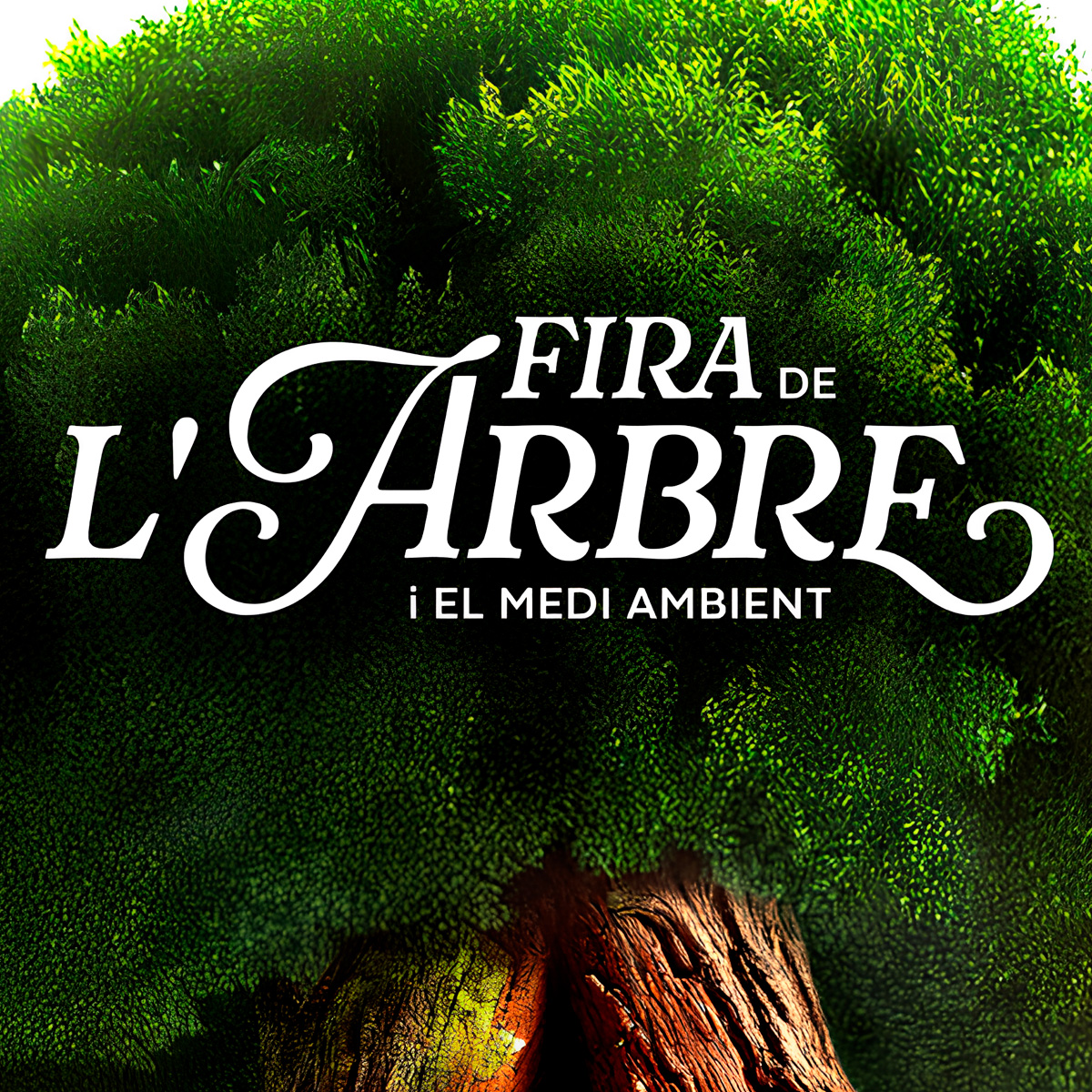 45th Tree and Environment Fair of Mataró