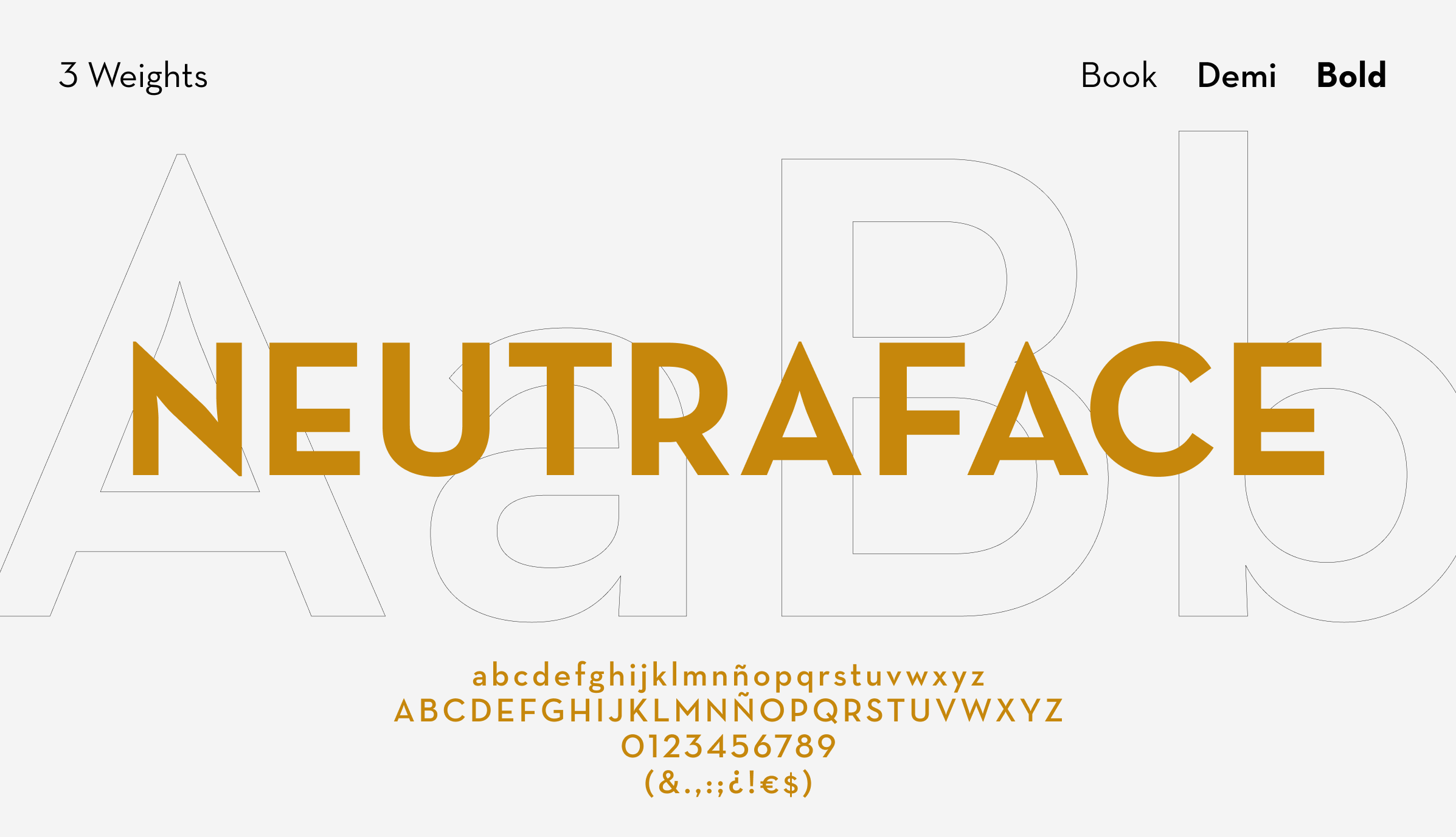 Typography system of Born To Cook: font pairings for headings and body text, showcasing hierarchy and readability.